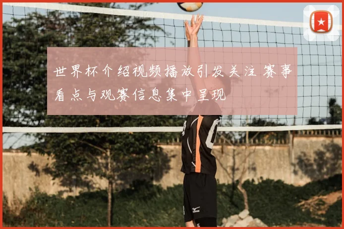 世界杯介绍视频播放引发关注 赛事看点与观赛信息集中呈现